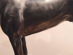 İngiliz Bronz At