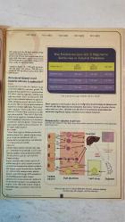 MEMORY DERGİSİ - MAYIS - HAZİRAN 2007 YIL: 4 SAYI: 41  CİHANGİR YILANLIOĞLU - SERDAR KÜÇÜKOĞLU  