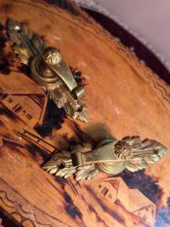 Bir çift Avrupa Pirinç Askı