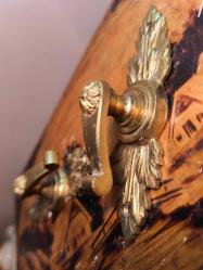 Bir çift Avrupa Pirinç Askı