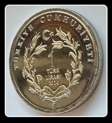 2014 - ÇİZGİLİ SIRTLAN (Hayvanlar Serisi) ÇİL