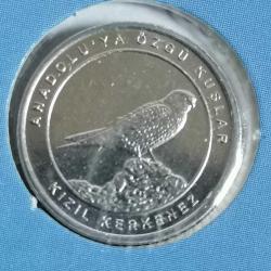 2020 ANADOLUYA ÖZGÜ KUŞLAR ÖZE KAPAMALARI İLE BERABER