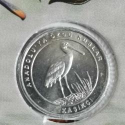 2020 ANADOLUYA ÖZGÜ KUŞLAR ÖZE KAPAMALARI İLE BERABER