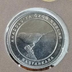 2020 ANADOLUYA ÖZGÜ KUŞLAR ÖZE KAPAMALARI İLE BERABER