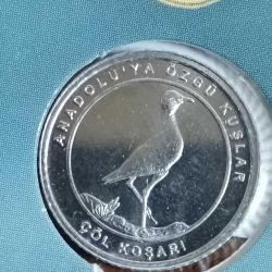 2020 ANADOLUYA ÖZGÜ KUŞLAR ÖZE KAPAMALARI İLE BERABER