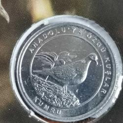 2020 ANADOLUYA ÖZGÜ KUŞLAR ÖZE KAPAMALARI İLE BERABER