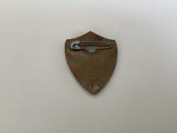 TEK YILDIZLI ESKİ ASKERİ BRÖVE