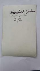 FERİ CANSEL ve AYNUR AYDAN'IN ORİJİNAL FOTOĞRAFI - 18 x 12 cm EBADINDA - FERİ CANSEL ve AYNUR AYDAN BİRBİRLERİNE SARILIP HATIRA POZU VERİRKEN ÇEKİLMİŞ BİR KARE