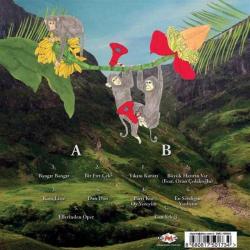 Gülşen - Bangır Bangır (Plak)