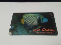 T.TELEKOM: 2003, DENİZ CANLILARI TELEFON KARTI 