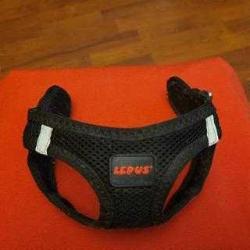 KALİTELİ TASMA İLE GEZDİRMELİK KEDİ ELBİSESİ. KÜÇÜK CİNS KÖPEĞE DE UYGUN.