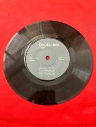 Dekorluk 45lik plak 1 adet