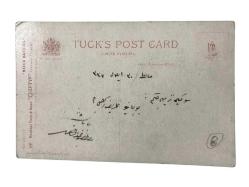 1910 Kedi ve köpekler - Denizde / Kartpostal