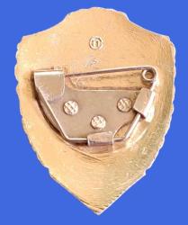 SSCB Kızılordu Rus Askeri Rozet