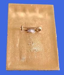 SSCB LENİNGRAT ŞEHRİ KIZIL DEVRİM LENİN PROPAGANDA ROZET