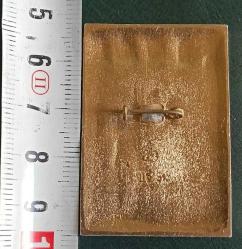 SSCB LENİNGRAT ŞEHRİ KIZIL DEVRİM LENİN PROPAGANDA ROZET