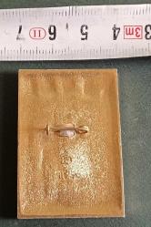 SSCB LENİNGRAT ŞEHRİ KIZIL DEVRİM LENİN PROPAGANDA ROZET