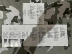 Kesmeşeker-İnsülün