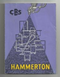 LOT.11 » ÇBS HAMMERTON SENTETİK BOYA KONULU KARTON BROŞÜR...