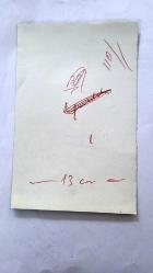 HÜLYA KOÇYİĞİT'İN KARDEŞİ NİLÜFER KOÇYİĞİT'İN ORİJİNAL FOTOĞRAFI - 18 x 12 cm EBADINDA - NİLÜFER KOÇYİĞİT, SOFRADA PİYAZ YERKEN ÇEKİLMİŞ ÇOK NET KALİTEDE BİR FOTOĞRAF... ÖZEL ARŞİV