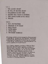 Sting - Nothing Like The Sun (Türkiye)