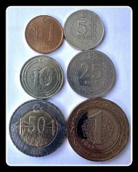 2009 - 1/5/10/25/50 KURUŞ + 1 LİRA / TAM TAKIM (TCM2009)