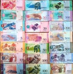 Venezuela 21 Farklı Tedavül Orjinal Kağıt Para Seti Çil