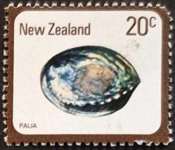 LOT.1 » +++  NEW ZEALAND DENİZ KABUĞU      - DAMGALI