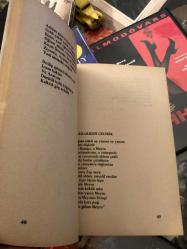 seyran destanı - gülten akın