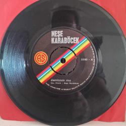 NEŞE KARABÖCEK * DEMİYOM MU , ARTIK BU SOLAN BAHÇEDE