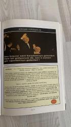 MAYA DERGİSİ  -EKİM ARALIK  -  2013– SAYI 269– 106 SAYFA -  36 YILDIR AYAKTA DURABİLEN TEK DERGİ - RABBİM ŞAHİTTİR NE DEDİYSE YAPTIM - YENİ YILINIZ KUTLU OLSUN - ATATÜRK’E MEKTUP - ATATÜRK - SESLENİŞ - MAYA’NIN YORUMU - AĞIRLIK - PAKET - NE FARKEDER - ŞEYH SAİT - KARNAVAL - SONSUZ DEĞİL - TÜRKİYE - BATAN GEMİ - 28 ŞUBAT - NEOLİBERAL - MUTLULUK - YENİ AND - BİRLİK - TAŞLAMA - YORUM - AKP - ÇUVAL - SÖYLEV - ANDIMIZ - SEÇİMLER - ÜNİVERSİTE - AKP DARBESİ - BOZCAADA - TRAMVAY - İHANET - BAMTELİ - KAHRAMANLAR - TRAFİK - NEW YORK ÖYKÜSÜ - ATATÜRK COŞKUSU - KONUŞAN FOTOĞRAFLAR - GÖRÜŞ AĞIRLIK MERKEZİ -  ÜNAL YALTIRIK - HÜLYA YILDIRIM - ERİŞ ÜLGER - C. TAYYAR SADIKLAR - FETHİ BOLAYIR - KÂMRAN İNAN - YUSUF ERKUT GÜSAR - RAUF TAMER - GÖKÇE FIRAT ÇULHAOĞLU - BUĞRA ATSIZ - YEKTA GÜNGÖR ÖZDEN - NİHAT KOSOVA - MESUT PARLAK - ÇETİN DOĞAN - UMUT ARIK - AYŞE JALE AĞIRBAŞ - ÖMER FARUK EMİNAĞAOĞLU - UĞUR BÜGET - CEVAT BAYRAKTAR - ÖVSEV DÖRTLEMEZ - ÖZGÜR ERDEM - HALİS DÖRTLEMEZ - C. ÖZDEMİR - SERAP YEŞİLTU