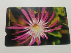 T.TELEKOM -2006 ÇİÇEKLER- TELEFON KARTI