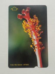 Efemera - T.TELEKOM -2006 ÇİÇEKLER- TELEFON KARTI - kitantik - kitaLog