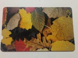 T.TELEKOM -2006 ÇİÇEKLER- TELEFON KARTI