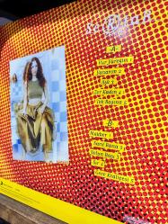 Sertap Erener Vur Yuregim plak