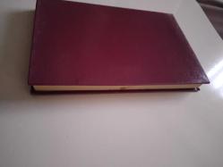 Tom Amcanın Kulubesi