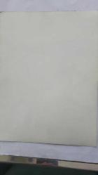 HÜLYA KOÇYİĞİT'İN KARDEŞİ NİLÜFER KOÇYİĞİT'İN ORİJİNAL BÜYÜK BOY 3'LÜ FOTOĞRAF SETİ - 24 x 18 cm EBADINDA - NİLÜFER KOÇYİĞİT, BİR SPOR TAKIMININ ANTRENMANINDA OYUNCULARLA KONUŞUP POZ VERİRKEN ÇEKİLMİŞ 3 FARKLI KARE