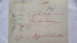 HÜLYA KOÇYİĞİT'İN KARDEŞİ NİLÜFER KOÇYİĞİT'İN ORİJİNAL BÜYÜK BOY FOTOĞRAFI - 24 x 18 cm EBADINDA - NİLÜFER KOÇYİĞİT, ''ÖLMEYEN AŞK (1966)'' ADLI YEŞİLÇAM FİLMİNDE ÖNDER SOMER, TANJU GÜRSU, PERVİN PAR ve GÜZİN ÖZİPEK'LE AYNI KAREDELER