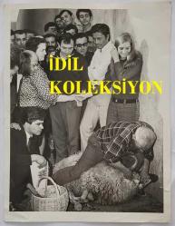 CÜNEYT ARKIN, TÜRKER İNANOĞLU ve HÜLYA KOÇYİĞİT'İN KARDEŞİ NİLÜFER KOÇYİĞİT'İN ORİJİNAL BÜYÜK BOY FOTOĞRAFI - 24 x 18 cm EBADINDA - NİLÜFER KOÇYİĞİT, ANNESİ MELEK KOÇYİĞİT, YEŞİLÇAM'IN BÜYÜK YILDIZI CÜNEYT ARKIN ve YAPIMCI TÜRKER İNANOĞLU'YLA BİRLİKTE KURBAN KESİMİNİ İZLERKEN ÇEKİLMİŞ BİR KARE