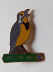 SINTALUTA. SASK / SARI KANARYA TEMALI LIONS BÜYÜK BOY ROZET...