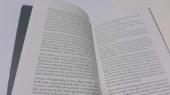 Bir Delinin Hatıra Defteri