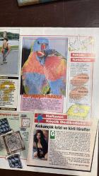 STAR DERGİSİ - SAYI : 65 - 10 OCAK 1993 - İSTANBULDAKİİ BİRLEŞMİŞ MİLLETLER - ÇIPLAKLIK SORGULANIYOR - HAYATIN RENGİ VAR - KADININ LİDER OLDUĞU TEK TOPLUM - FİLLER İÇİN BAKIMEVİ - MOTOSİKLETLİ GÖSTERİ - YAZILARIYLA - METE AKYOL ERGUN HİÇYILMAZ ALİ RIZA KARDÜZ AYKUT IŞIKLAR - MARISA MELL MADONNA HUGE HEFNER COSMOPOLITAN NIVEA REDBOOK ANKE BMW ISETTA KRALİÇE EUGENIE SOPHIA LOREN ANNA MAGNANI GEORGE BUSH NASTASSIA KINSKI AYKUT IŞIKLAR  MEDYA DÜNYASI TAKVİM GÜZELİ BMW ISETTA KRALİÇE EUGENIE’NİN TAÇI ÇILGIN DİPLOMAT - ABDÜLMECİD PIERRE LOTI PIERRE CARDIN CAMILLE ROGIER ERGUN HİÇYILMAZ LADY MONTEGÜ ABDÜLHAMİD ÖJENİ KOSINSCKI SOBIEVSKI MİAO  İSTANBUL KADINLARININ KIYAFETLERİ DÜNYA KADINLARININ TAKILARI - 44 SAYFA