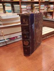 Israël chez les nations