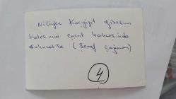 HÜLYA KOÇYİĞİT'İN KARDEŞİ NİLÜFER KOÇYİĞİT'İN ORİJİNAL 2'Lİ FOTOĞRAF SETİ - 14 x 9 cm EBADINDA - NİLÜFER KOÇYİĞİT, GİRESUN ÇOCUK BAHÇESİNDE HAYRANLARINA FOTOĞRAF DAĞITIRKEN ve EĞLENİRKEN ÇEKİLMİŞ 2 FARKLI KARE