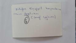 HÜLYA KOÇYİĞİT'İN KARDEŞİ NİLÜFER KOÇYİĞİT'İN ORİJİNAL 2'Lİ FOTOĞRAF SETİ - 14 x 9 cm EBADINDA - NİLÜFER KOÇYİĞİT, GİRESUN ÇOCUK BAHÇESİNDE HAYRANLARINA FOTOĞRAF DAĞITIRKEN ve EĞLENİRKEN ÇEKİLMİŞ 2 FARKLI KARE