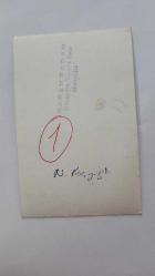 HÜLYA KOÇYİĞİT'İN KARDEŞİ NİLÜFER KOÇYİĞİT'İN ORİJİNAL 3'LÜ FOTOĞRAF SETİ - 14 x 9 cm EBADINDA - NİLÜFER KOÇYİĞİT, ÖLEN KAPLUMBAĞASINI GÖMERKEN ÇEKİLMİŞ 3 FARKLI KARE. ŞABAN ERDEM