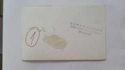 HÜLYA KOÇYİĞİT'İN KARDEŞİ NİLÜFER KOÇYİĞİT'İN ORİJİNAL 3'LÜ FOTOĞRAF SETİ - 14 x 9 cm EBADINDA - NİLÜFER KOÇYİĞİT, ÖLEN KAPLUMBAĞASINI GÖMERKEN ÇEKİLMİŞ 3 FARKLI KARE. ŞABAN ERDEM