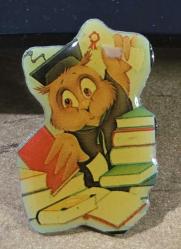 Okul Cübbesi Giymiş Kuş Görselli Rozet