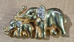 Taşlı Fil Ailesi, Broş