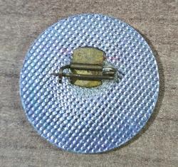 Aslan Görselli Rozet